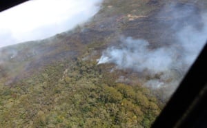 Retour en images sur l'incendie de la Roche Ecrite