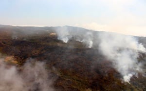 Retour en images sur l'incendie de la Roche Ecrite