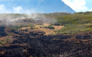 Retour en images sur l'incendie de la Roche Ecrite