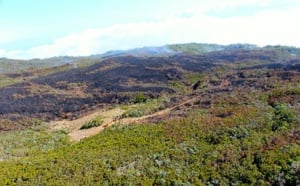 Retour en images sur l'incendie de la Roche Ecrite