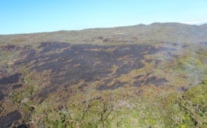 Retour en images sur l'incendie de la Roche Ecrite