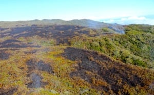 Retour en images sur l'incendie de la Roche Ecrite