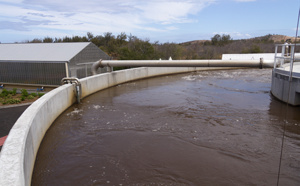 Visite guidée de la nouvelle station épuration de l'Etang-Salé