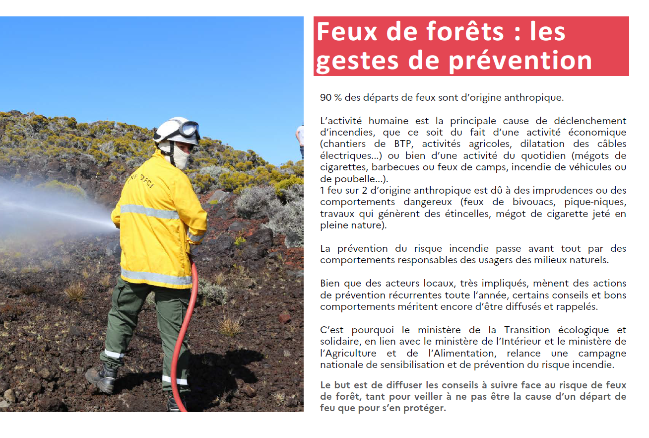 Feux de forêt et d'espaces naturels