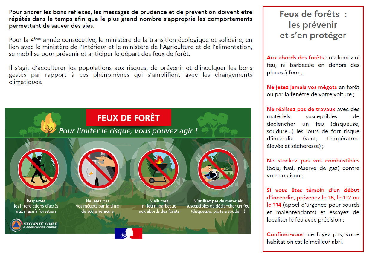 Feux de forêt et d'espaces naturels