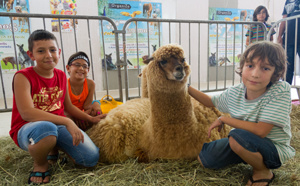 La Fête des Zanimos de Saint-Louis en images