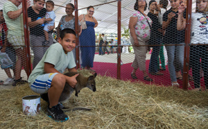 La Fête des Zanimos de Saint-Louis en images
