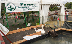 La Fête des Zanimos de Saint-Louis en images