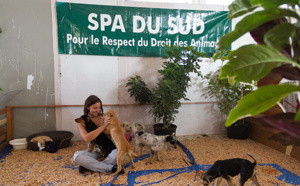 La Fête des Zanimos de Saint-Louis en images
