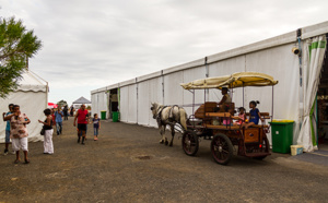 La Fête des Zanimos de Saint-Louis en images
