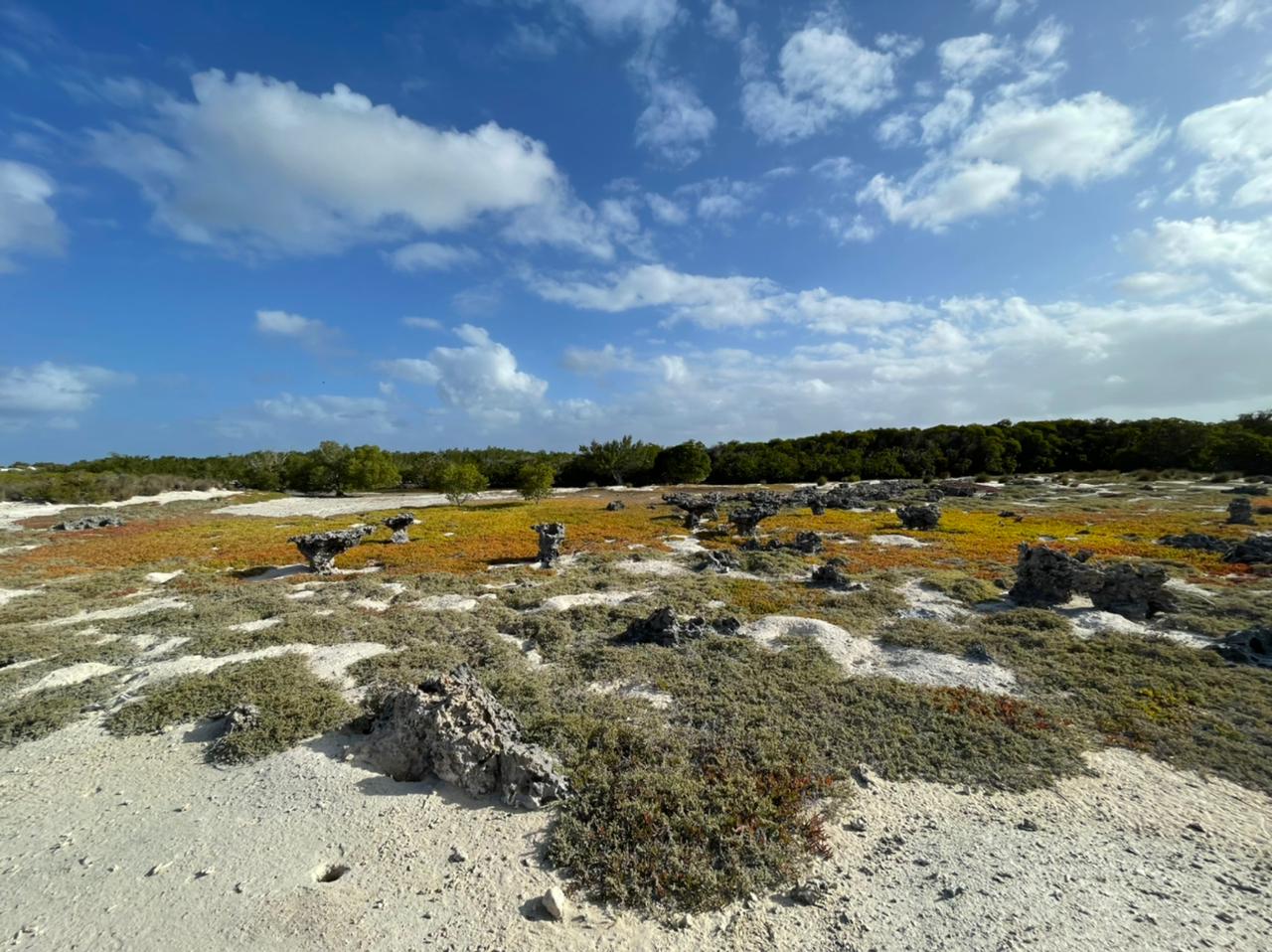 Tournée conjointe des autorités TAAF et FAZSOI dans les îles Éparses