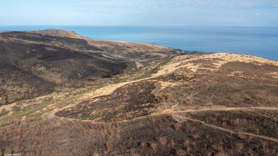 La savane du Cap La Houssaye une nouvelle fois incendiée: Les images aériennes