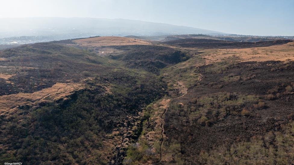 La savane du Cap La Houssaye une nouvelle fois incendiée: Les images aériennes