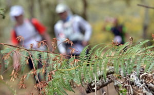 Grand Raid : Retour en images sur la journée de samedi