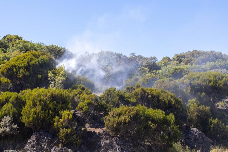 Photos - Les pompiers de La Réunion formés aux largages du Dash 8
