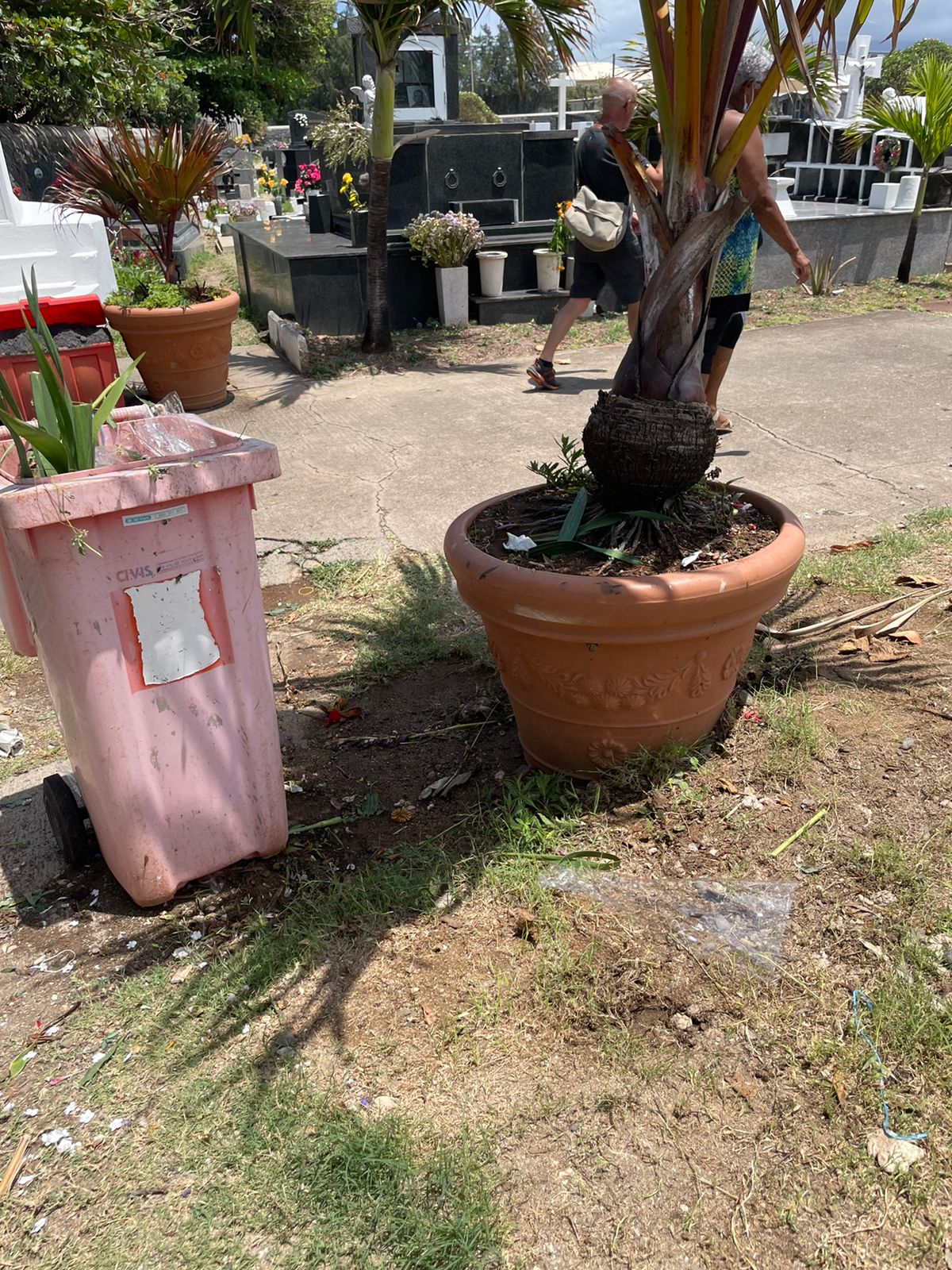 Coup de gueule - L'état du cimetière de Saint-Pierre laisse à désirer