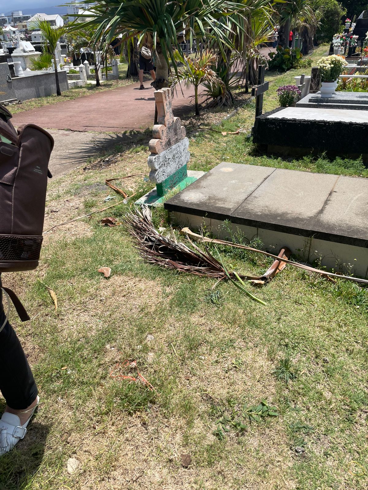 Coup de gueule - L'état du cimetière de Saint-Pierre laisse à désirer