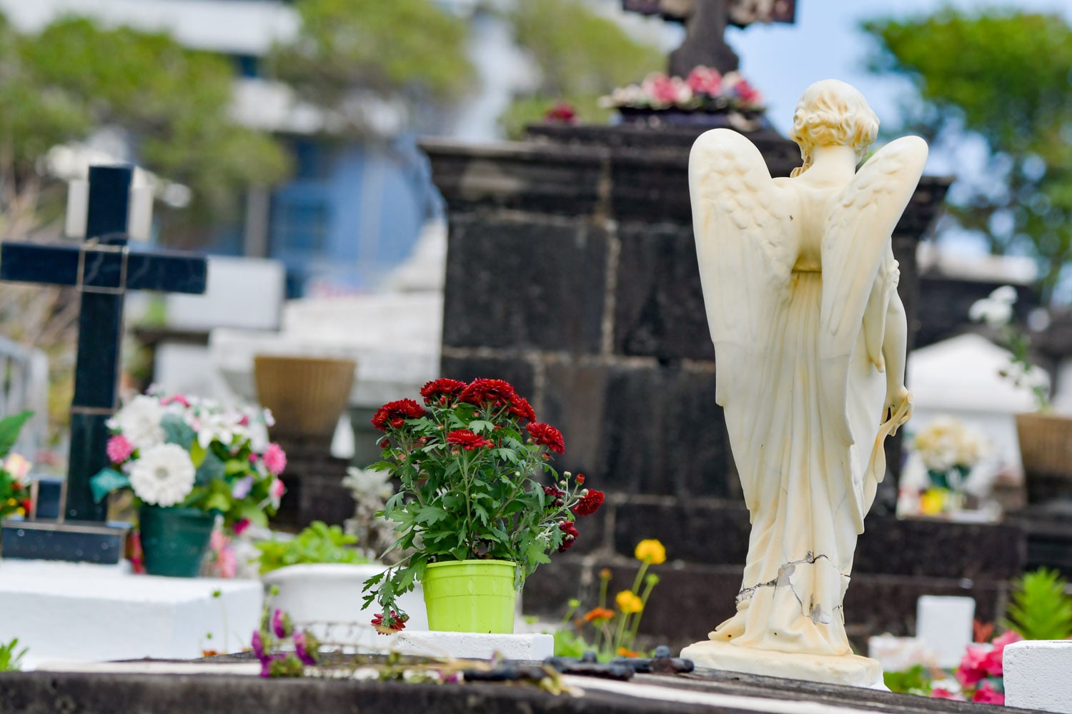 Recueillement et ferveur dans les cimetières