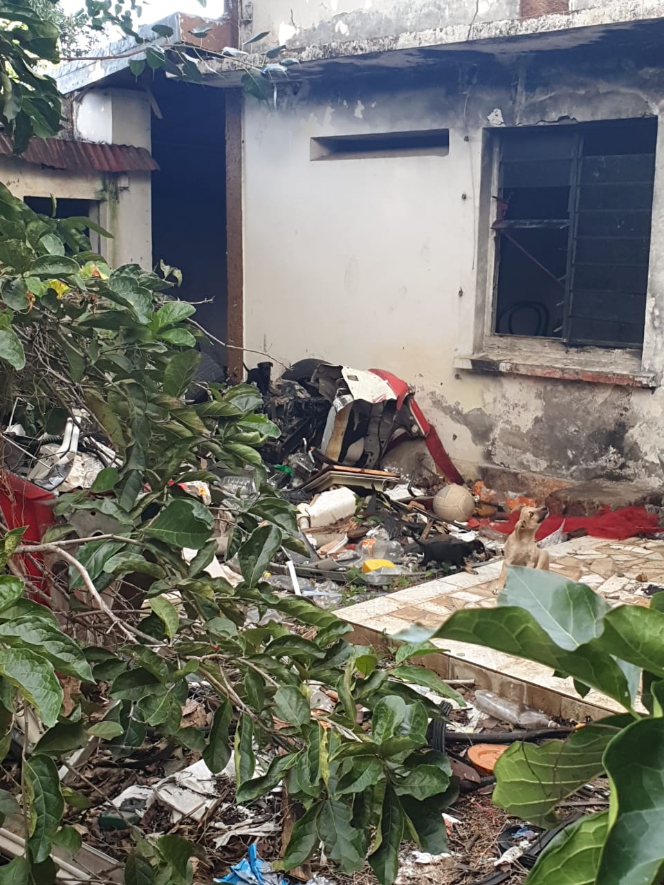 Saint-Denis : Un nouveau squat pour enfermer les chiens et un appareil de torture découverts
