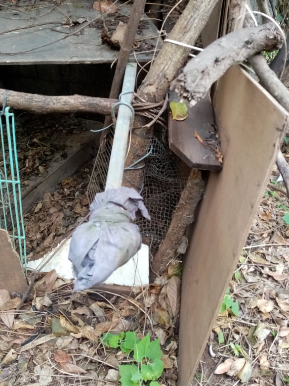 Saint-Denis : Un nouveau squat pour enfermer les chiens et un appareil de torture découverts