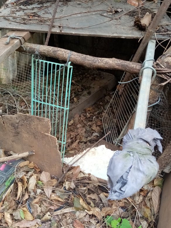 Saint-Denis : Un nouveau squat pour enfermer les chiens et un appareil de torture découverts