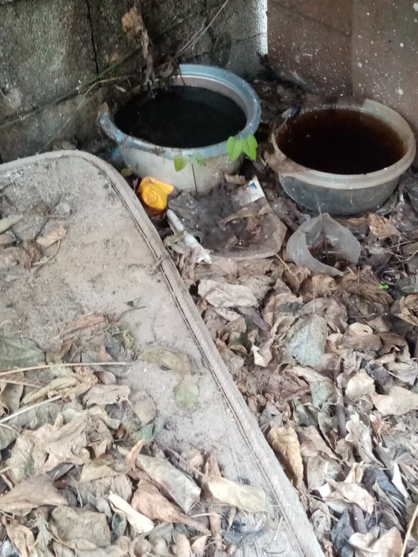 Saint-Denis : Un nouveau squat pour enfermer les chiens et un appareil de torture découverts