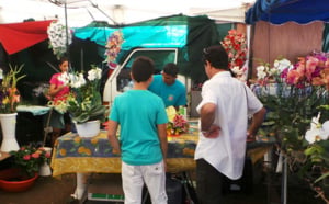 La fête de la Toussaint, un jour important pour les fleuristes