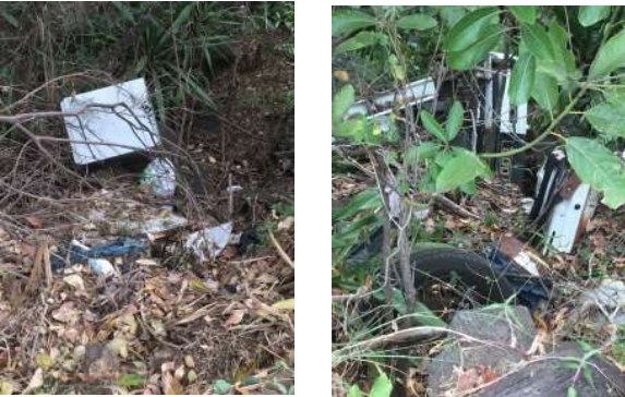 Lettre ouverte au sujet du chemin piéton de Bassin Plat
