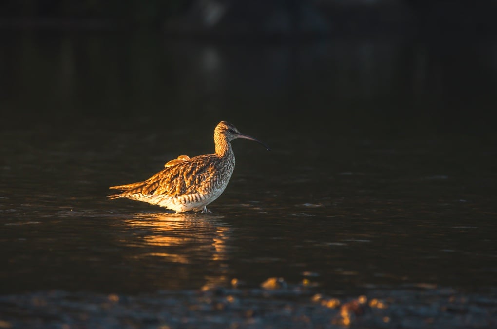 Les lauréats du concours photos