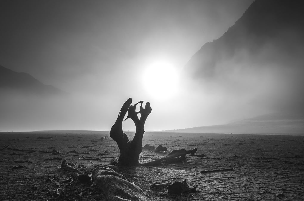 Les lauréats du concours photos