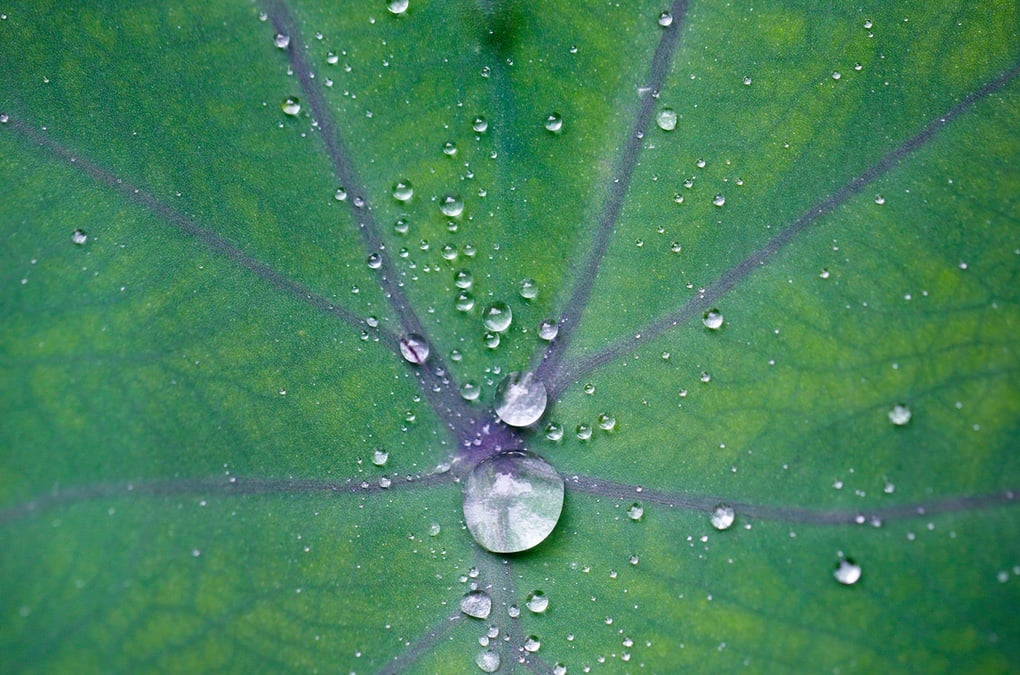 Les lauréats du concours photos