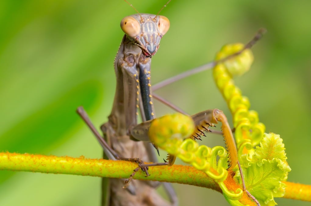 Les lauréats du concours photos