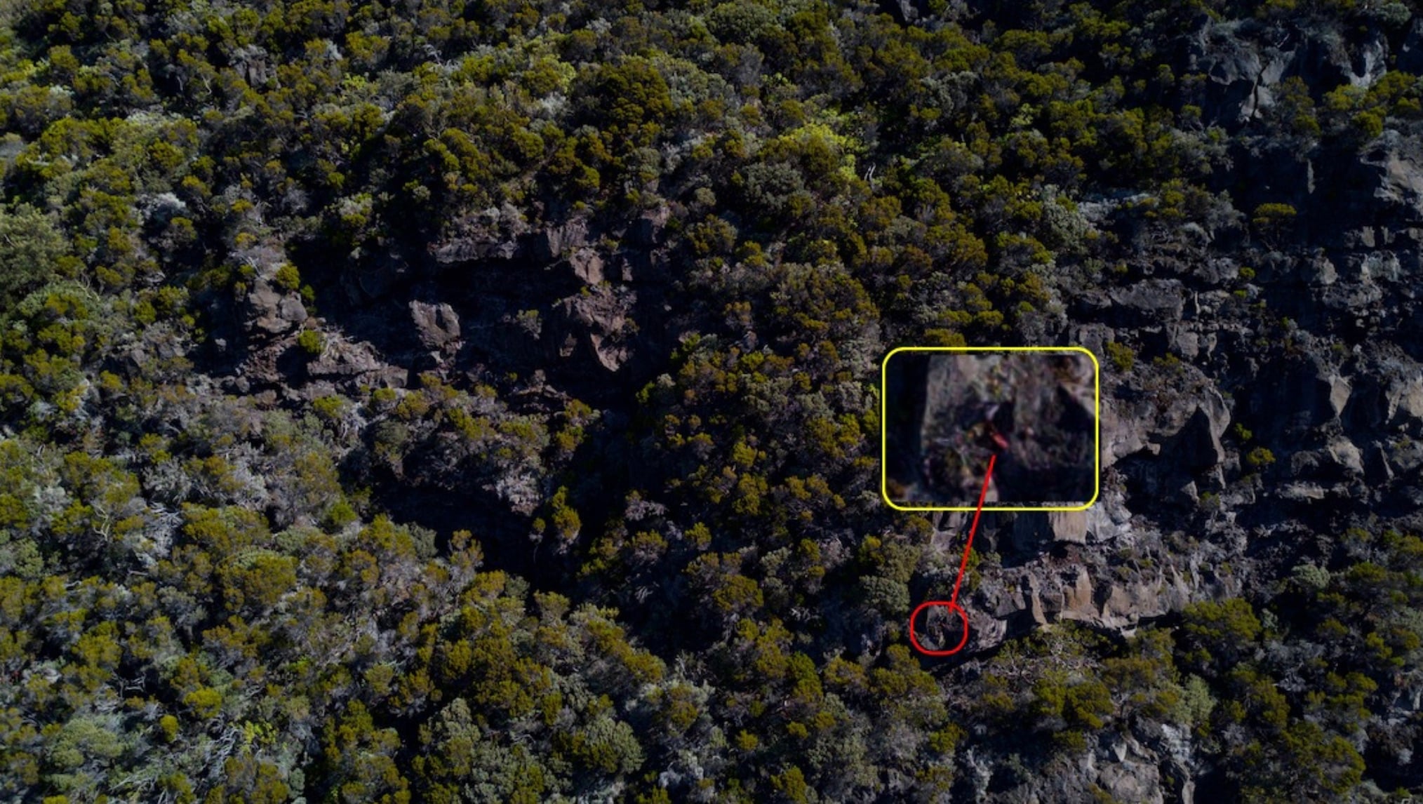 Disparition des parachutistes : Une photo qui intrigue