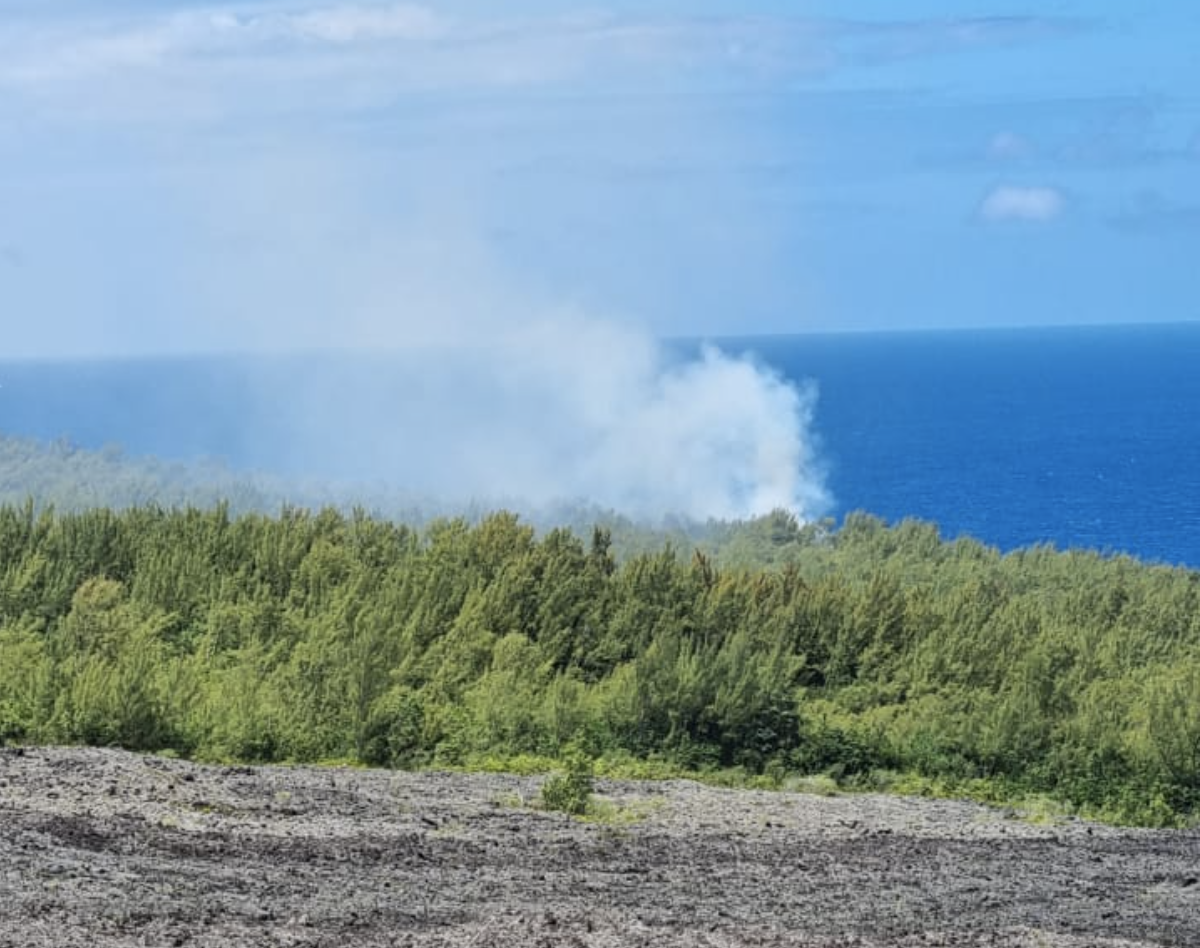 Pompiers et Dash tentent de maîtriser un incendie au Grand Brûlé