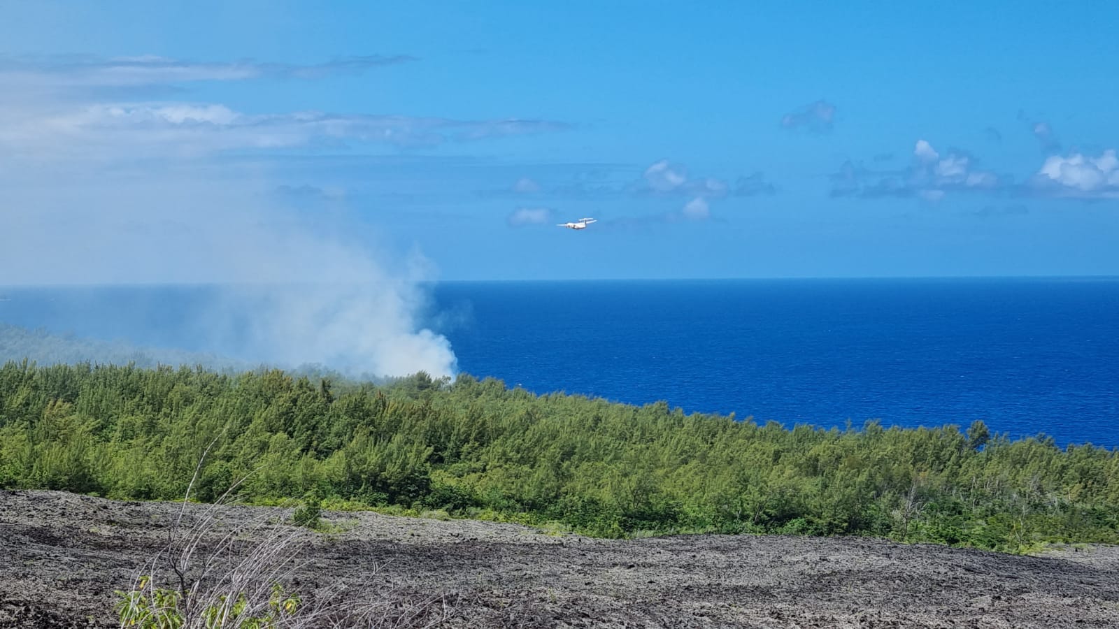 Pompiers et Dash tentent de maîtriser un incendie au Grand Brûlé