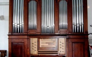 Un instrument de musique fait fureur en Guadeloupe