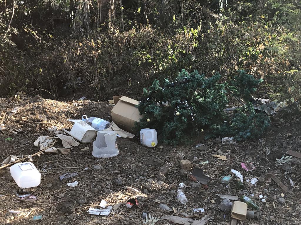 Les solutions de Band'Cochon pour décourager les pollueurs