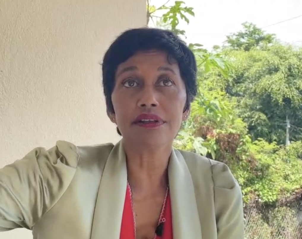 Vidéo - L'ancienne ministre des Outre-mer Ericka Bareigts s'exprime sur 