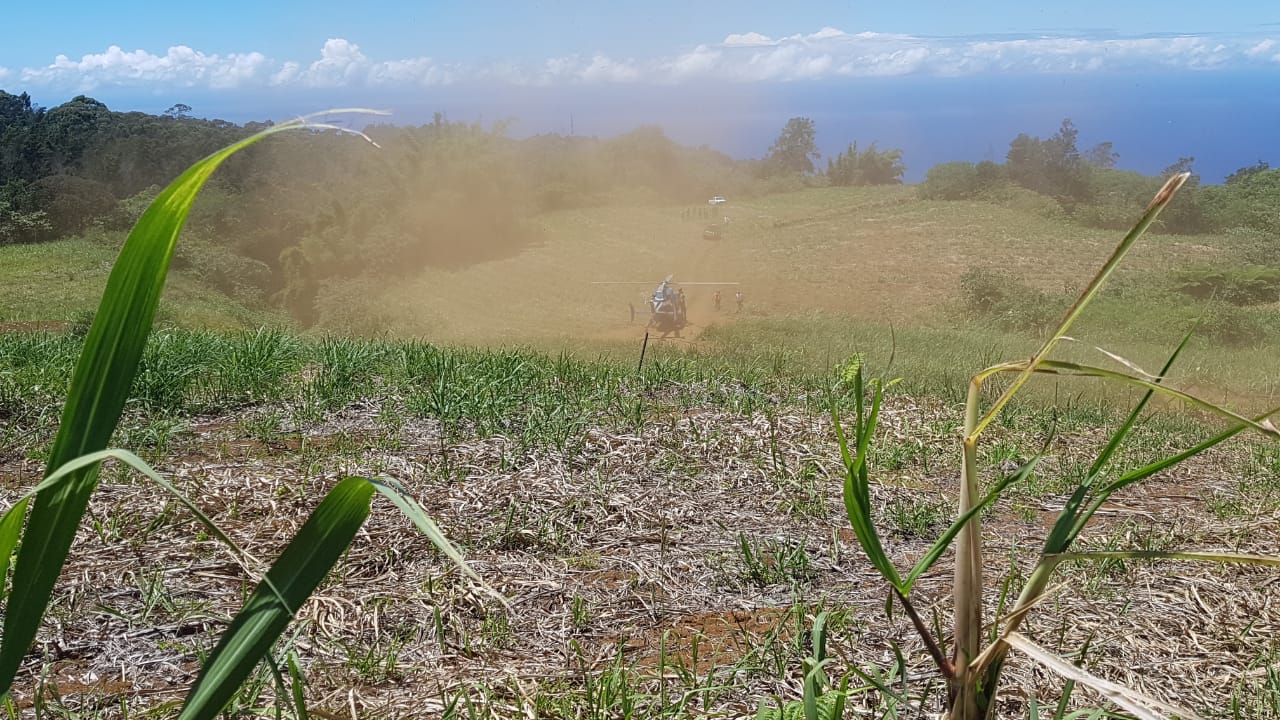 Petite-Ile : Un homme de 60 ans fait une chute et atterrit à flanc de falaise