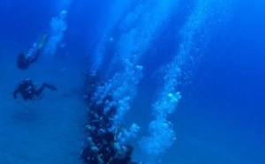 110 plongeurs péi forment la plus grande chaîne humaine sous-marine au monde