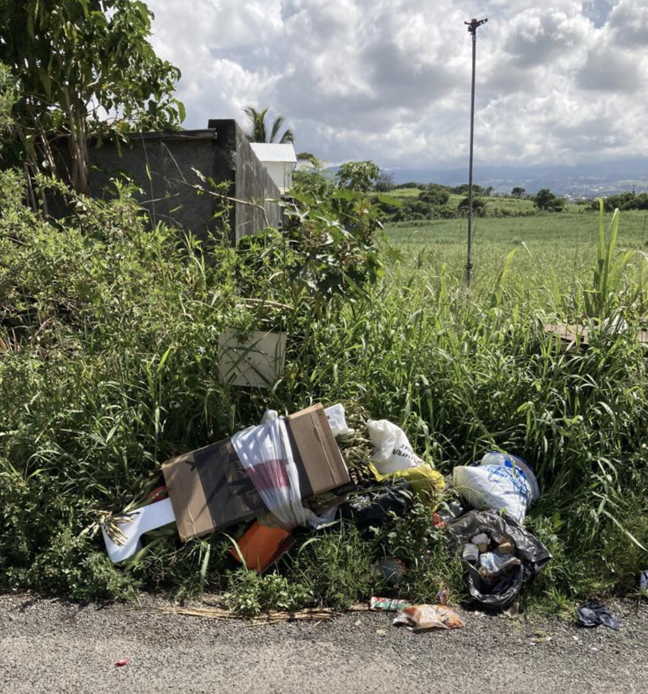 47 photos versées sur Band cochon pour autant de déchets déversés