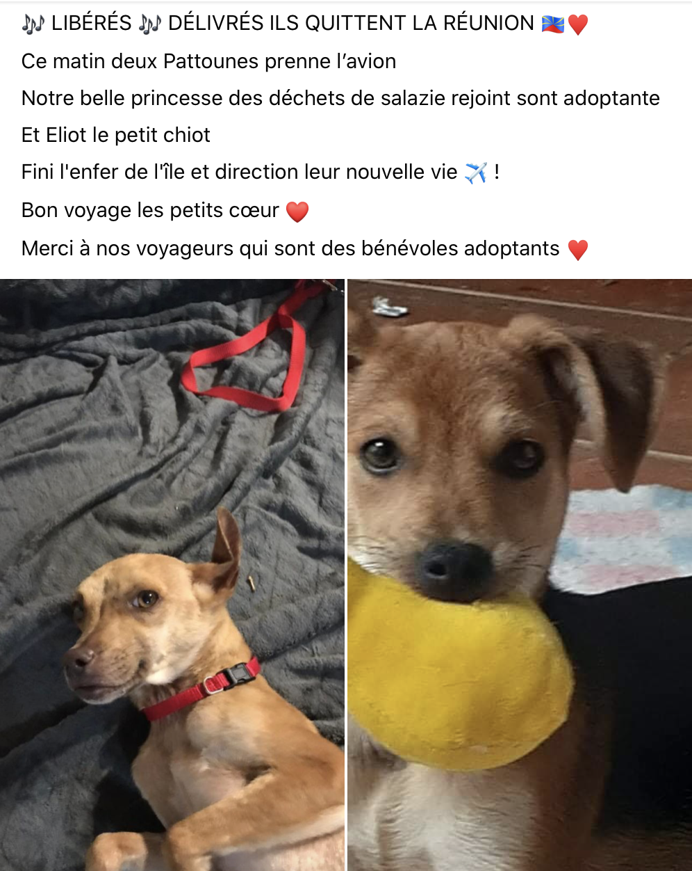 La princesse des déchets s'est envolée