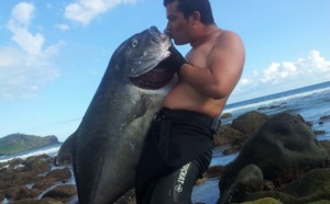 Grand-Bois : Ils pêchent une Carangue à grosse tête de 35kg
