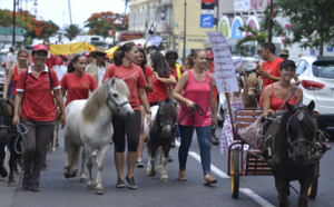 Des poneys à St-Denis: La manifestation contre l'Equitaxe en images