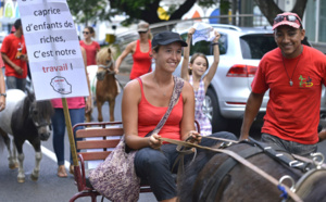 Des poneys à St-Denis: La manifestation contre l'Equitaxe en images