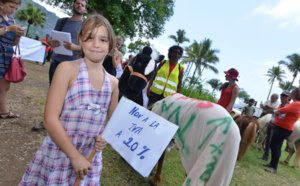 Des poneys à St-Denis: La manifestation contre l'Equitaxe en images