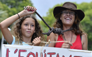 Des poneys à St-Denis: La manifestation contre l'Equitaxe en images