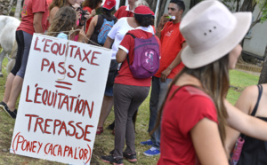 Des poneys à St-Denis: La manifestation contre l'Equitaxe en images