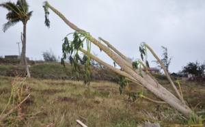 Après le passage du cyclone Amara, l'aide s'organise à Rodrigues