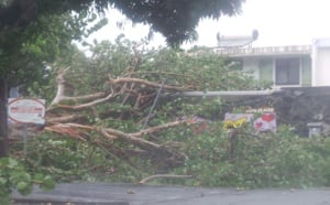 Les dégâts sont impressionnants à Saint-Paul